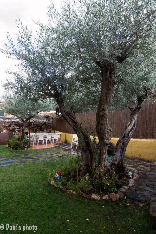 La Casita De Leire Guest House Tamajon Luaran gambar
